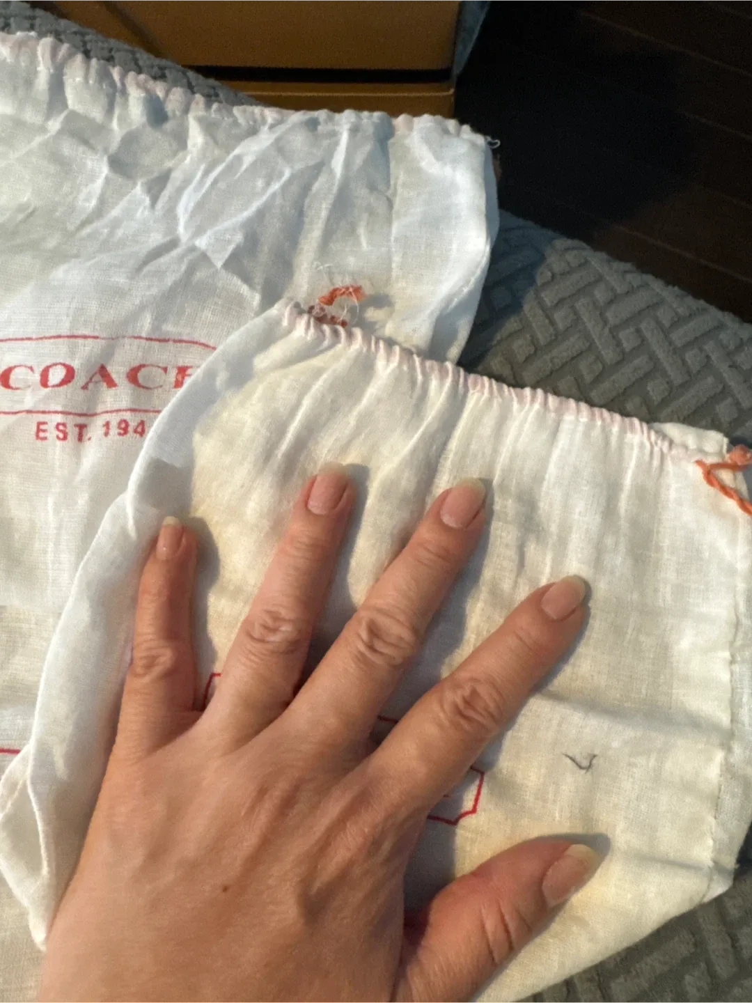 Coach Dust Bags #cleanout image indicator(2)