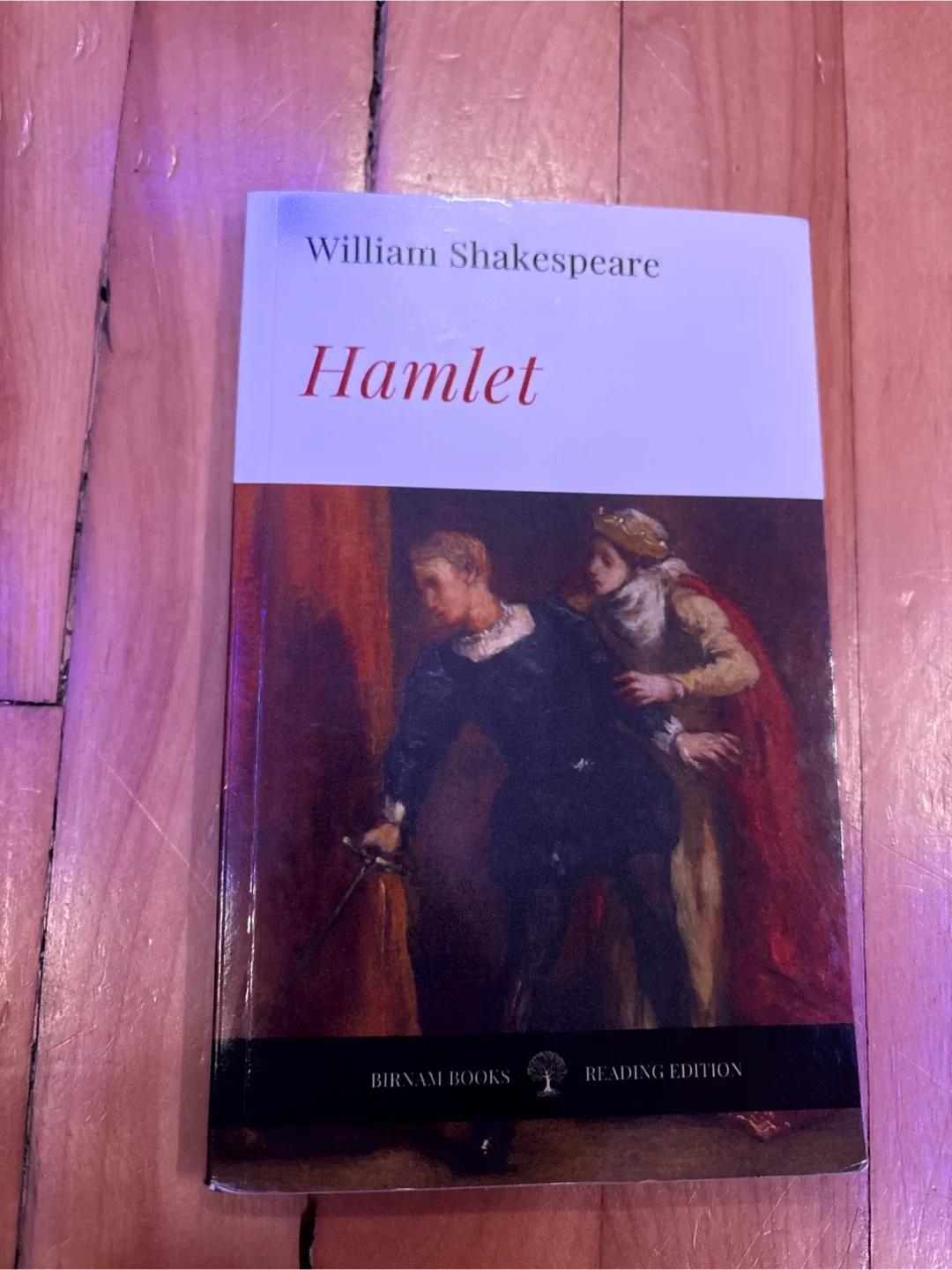 Annotated Hamlet by William Shakespeare