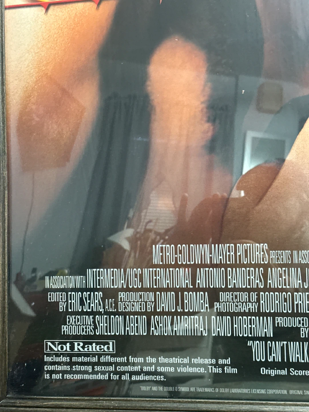 Original Sin Movie Poster - photo 3