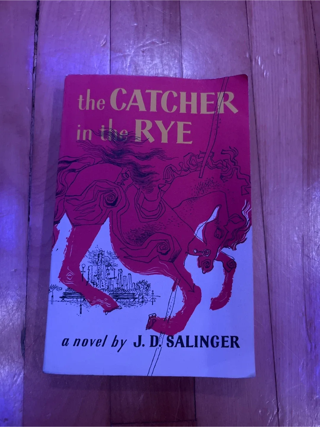 The Catcher in the Rye by J.D. Salinger