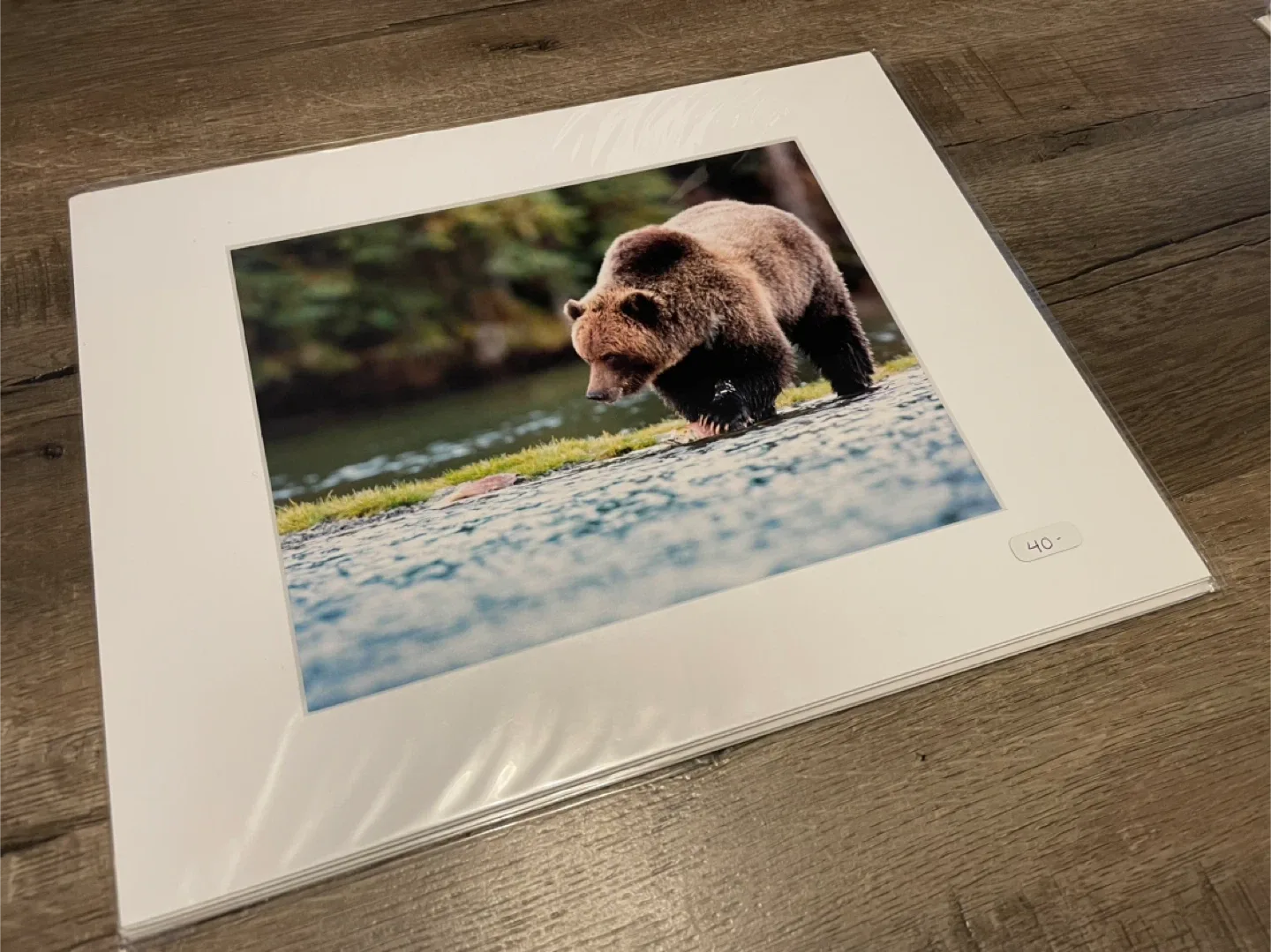 Grizzly Bear Photo Print - Matted image indicator(5)