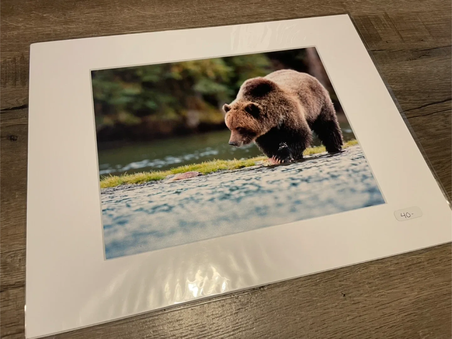 Bear Photo Print - Matted