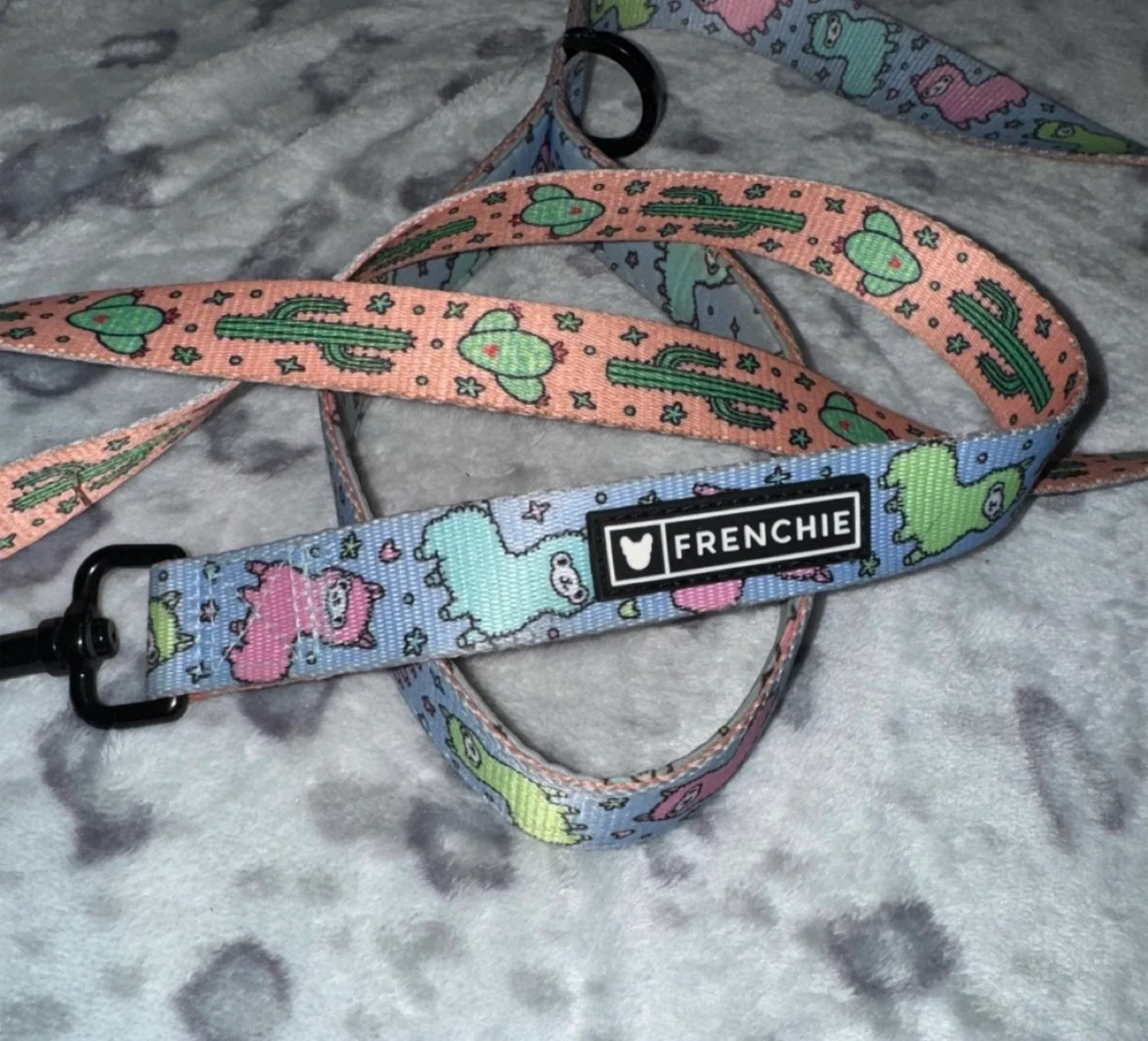 Frenchie Dog Harness & Leash Set - S image indicator(3)