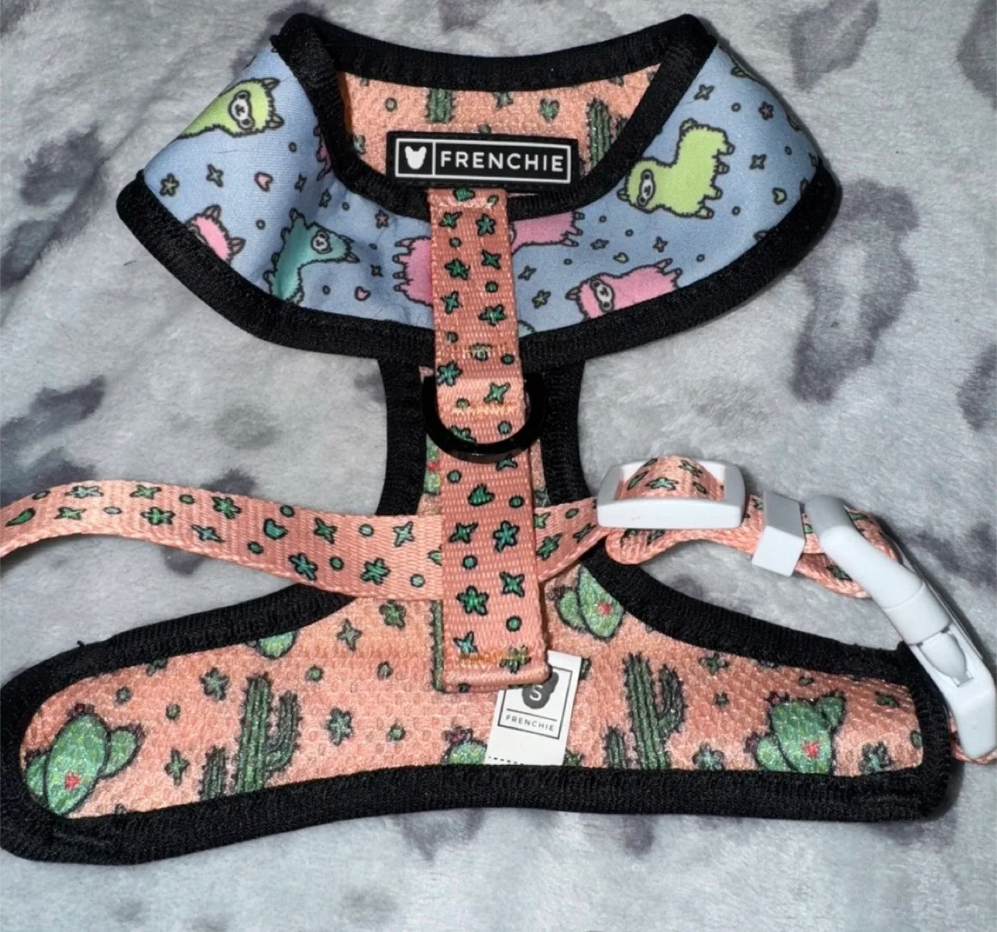 Frenchie Dog Harness & Leash Set - S image indicator(2)