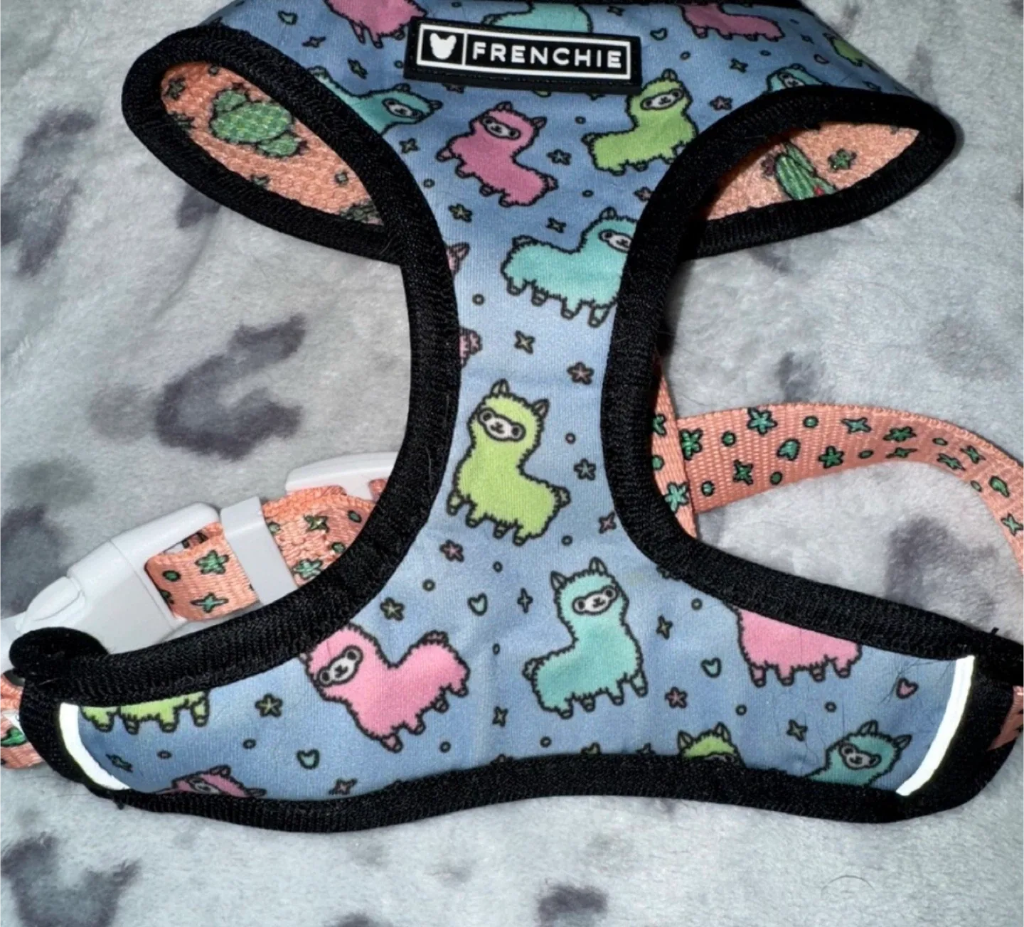 Frenchie Dog Harness & Leash Set - S