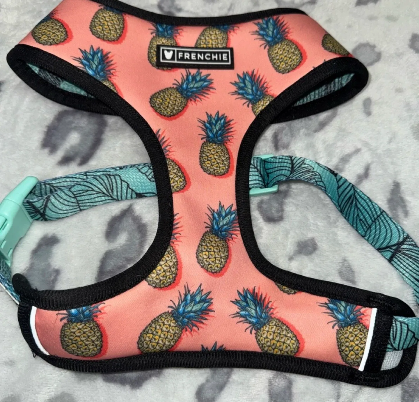 Frenchie Pineapple Dog Harness - Size LG