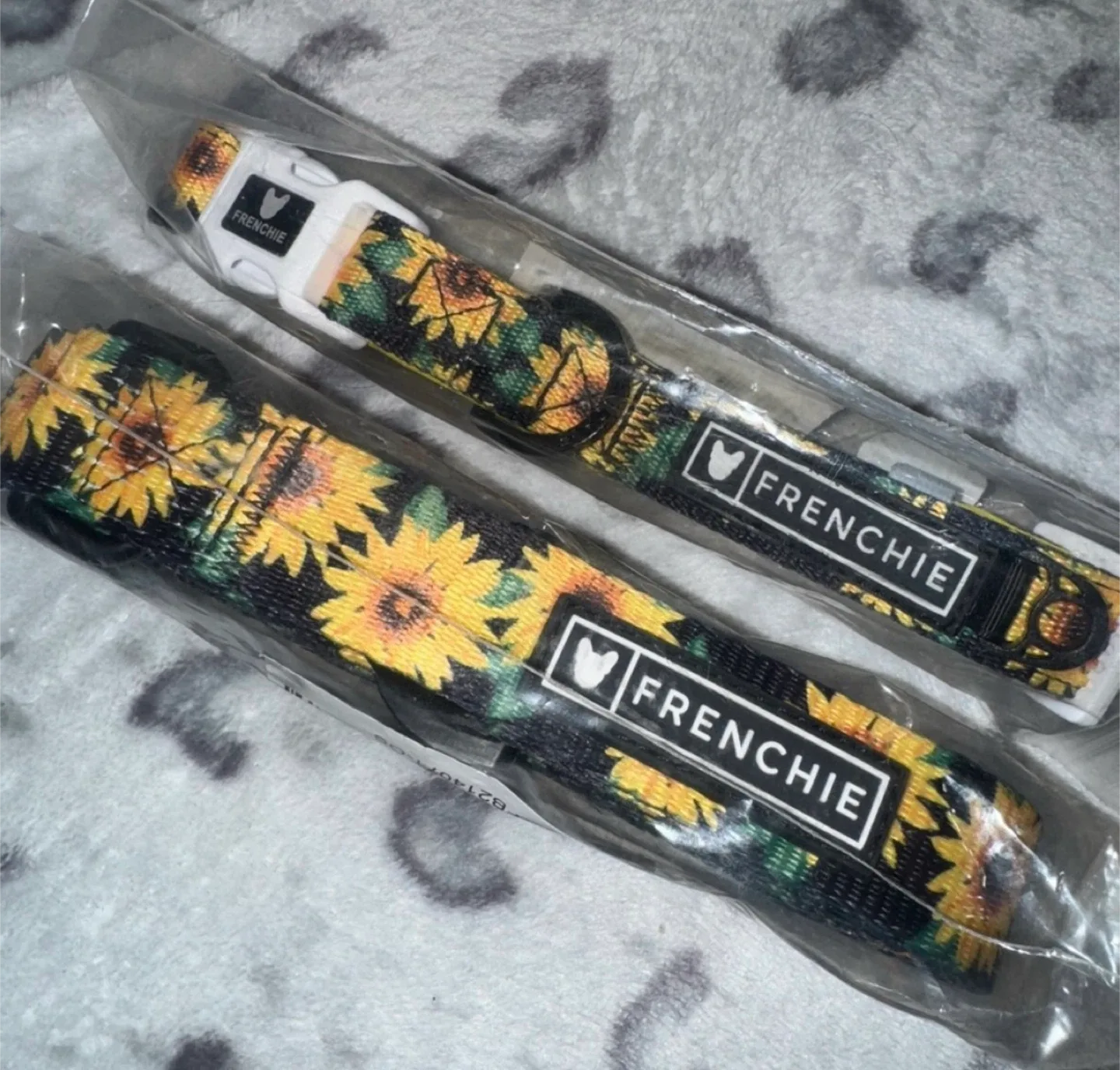 Frenchie Sunflower Dog Collar and Leash Set - New