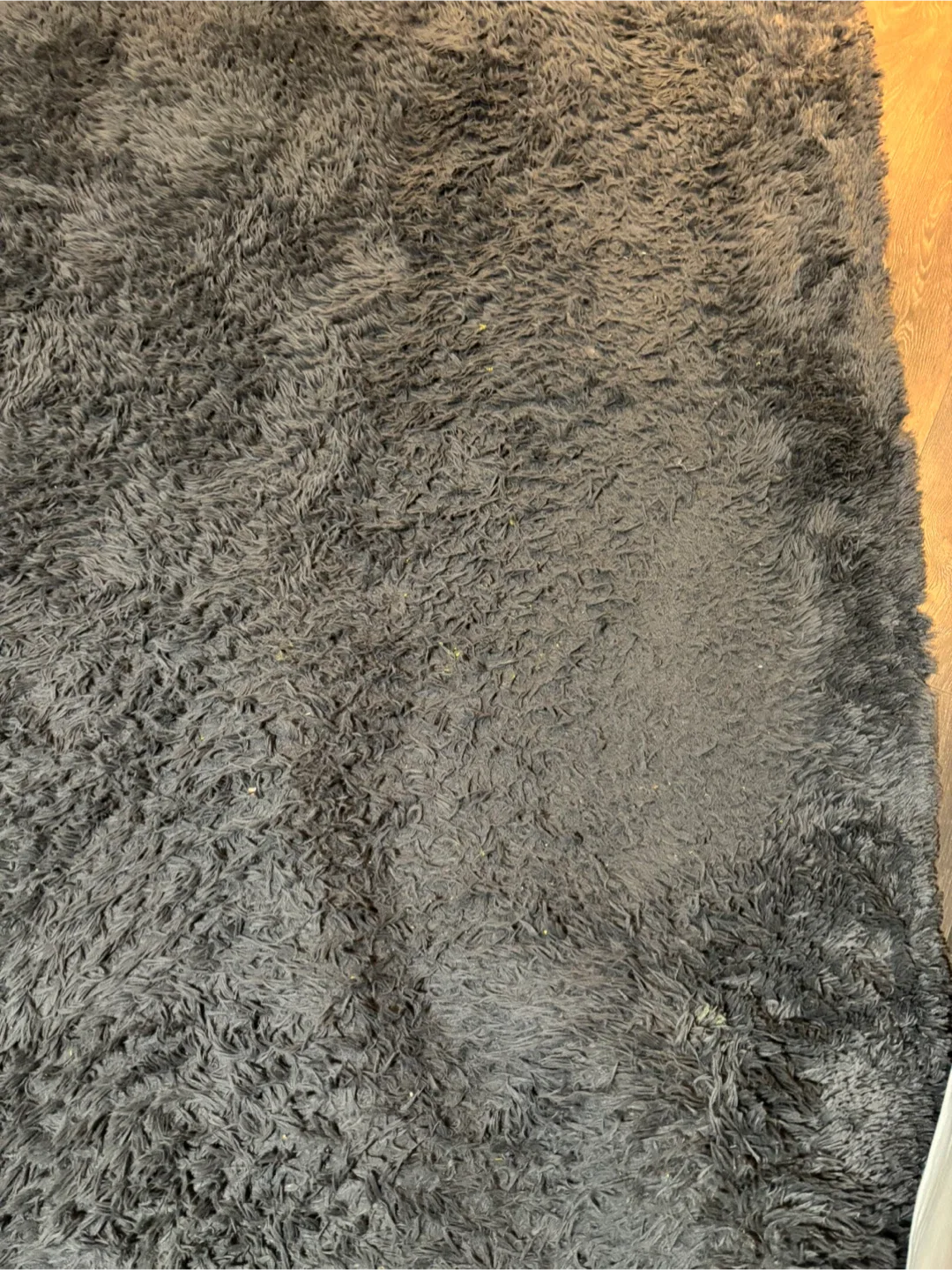 Grey Shag Rug 8*10 image indicator(2)