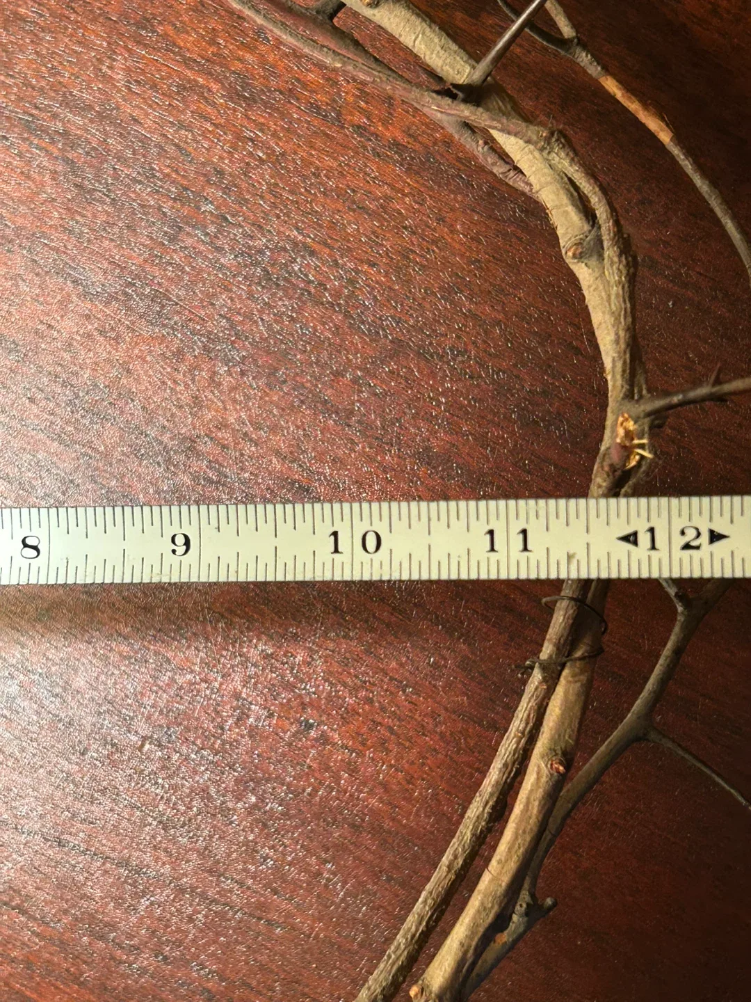 $10 Crown of thorns   Real  handmade  xmas Christmas gift image indicator(4)