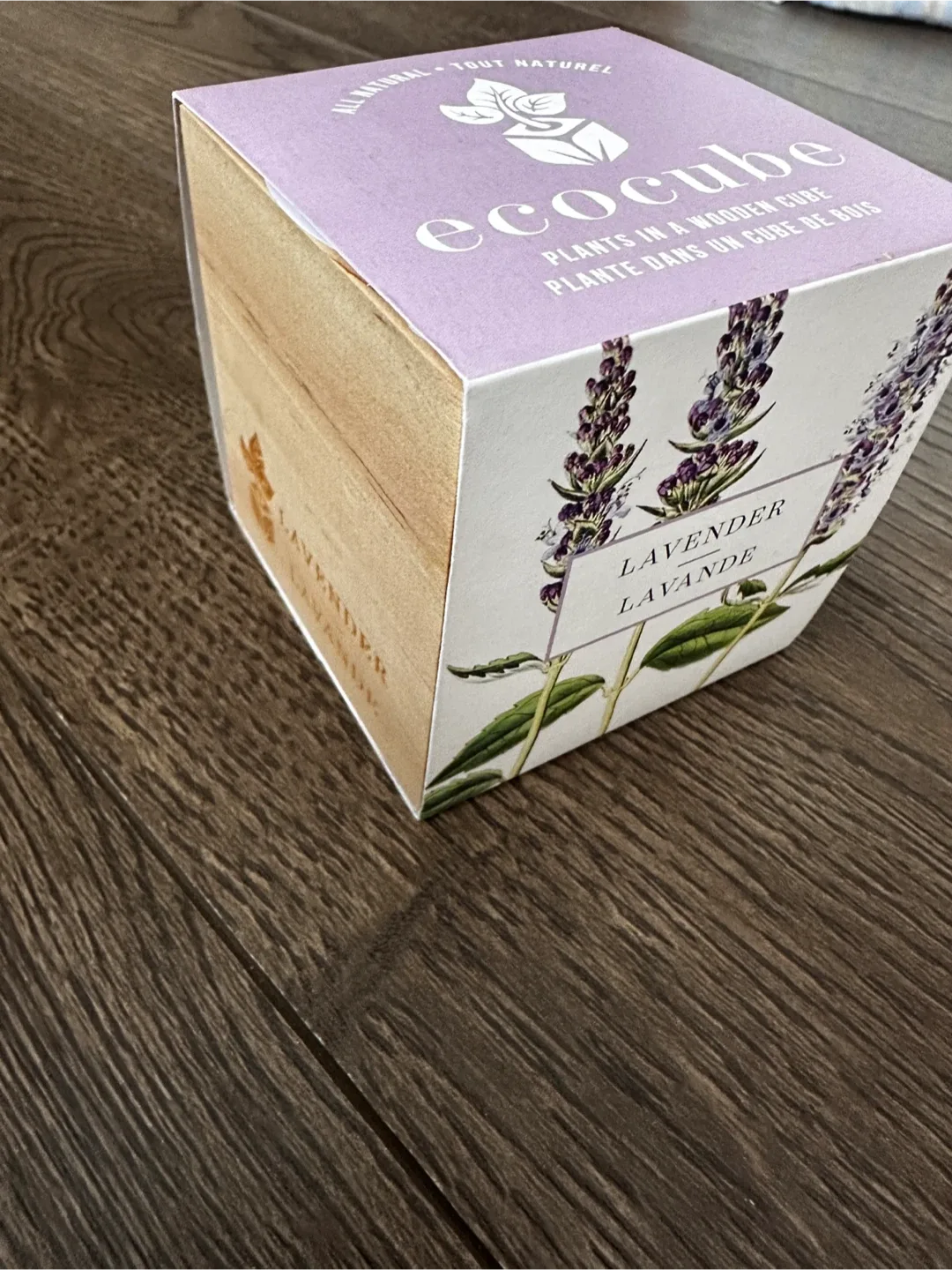 Ecocube Lavender Plant in a Wooden Cube