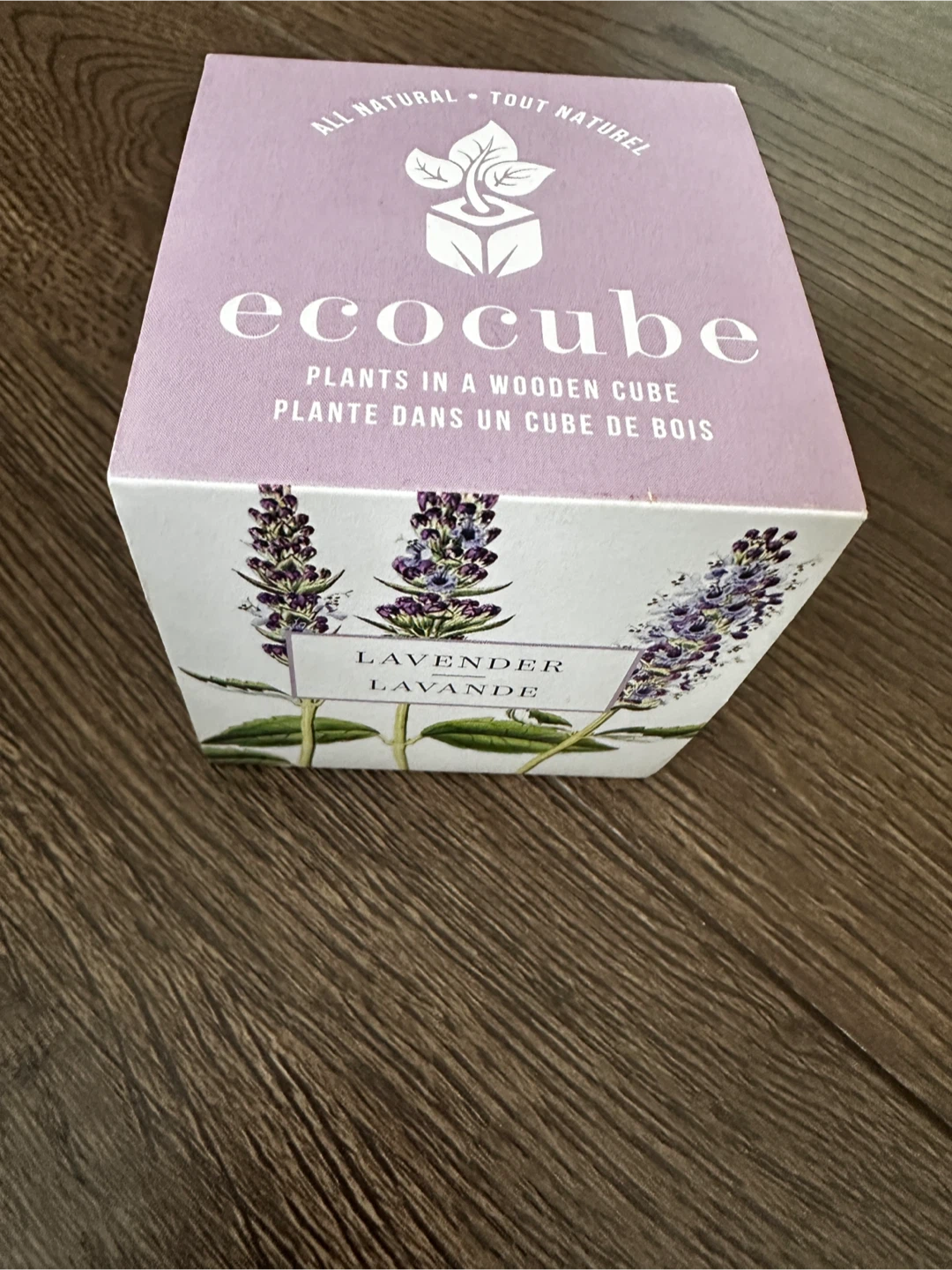 Ecocube Lavender Plant in a Wooden Cube - photo 2