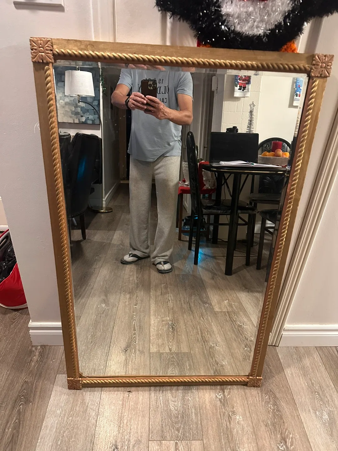 Gold Framed Mirror image indicator(2)