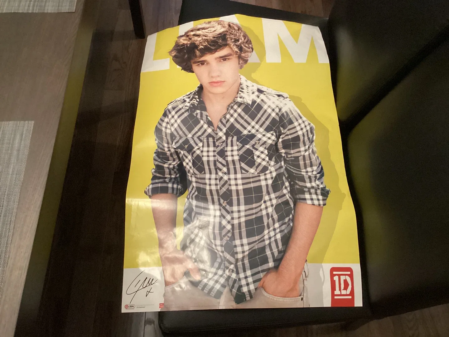 One Direction Liam Payne Poster