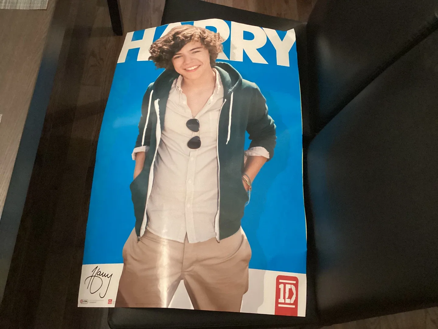 Harry Styles Poster