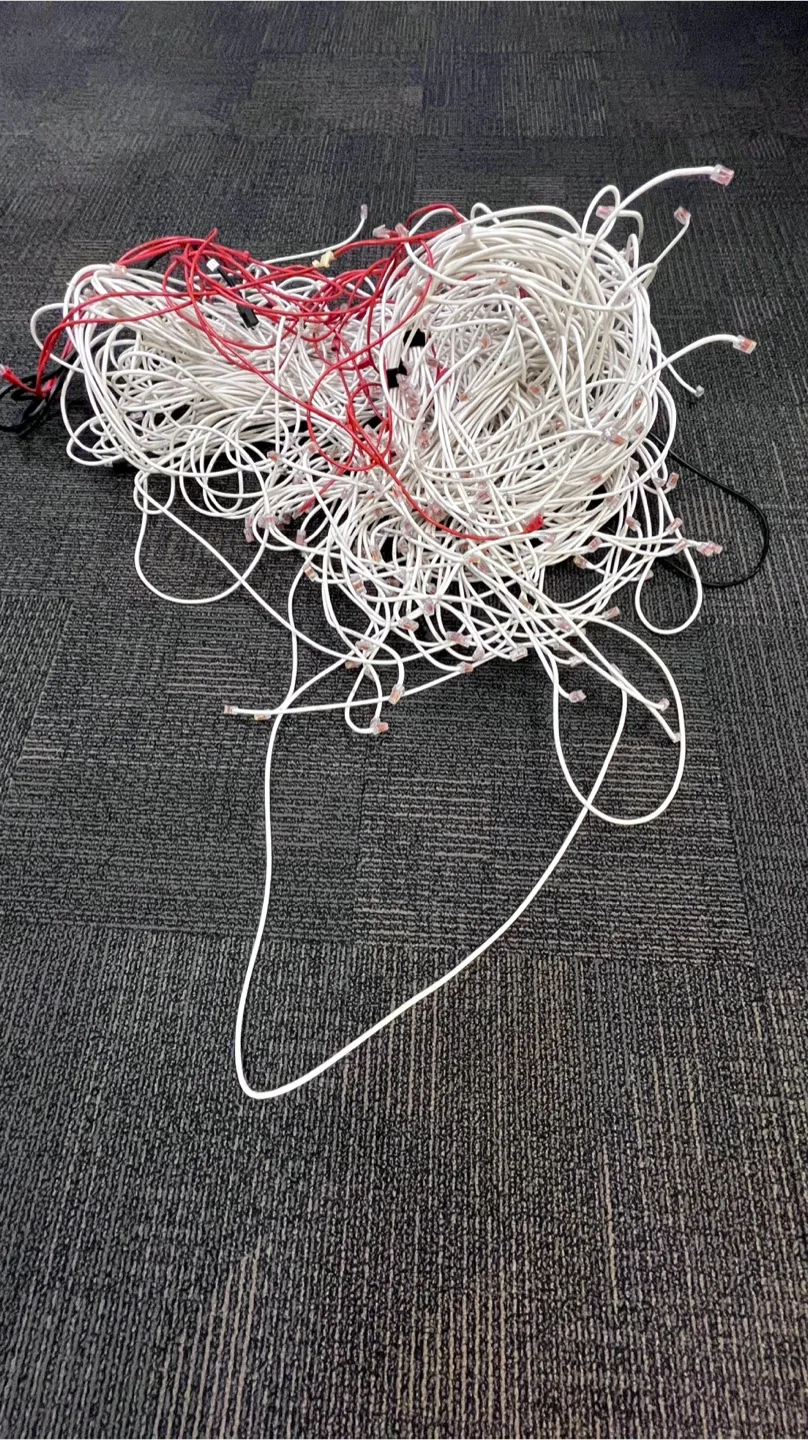 Network Patch Cables - 5 feet