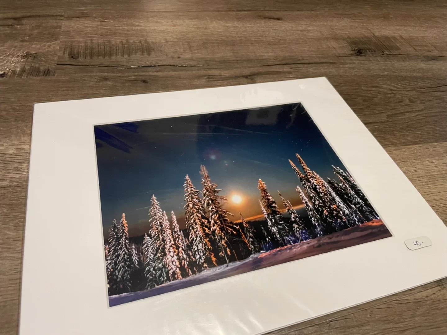 Nature Photography Print 11x14 Matted