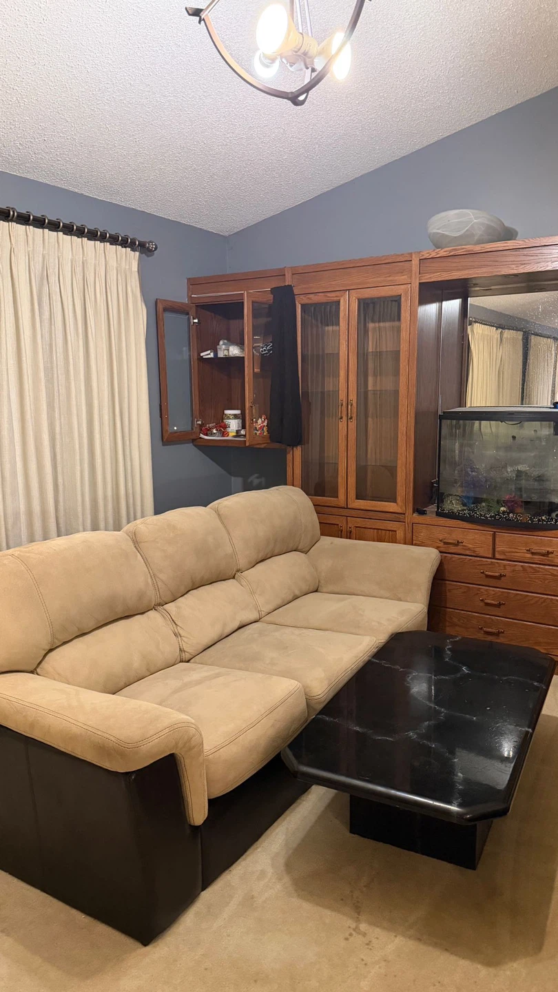 Beige Sectional Sofa with Dark Brown Base - photo 4