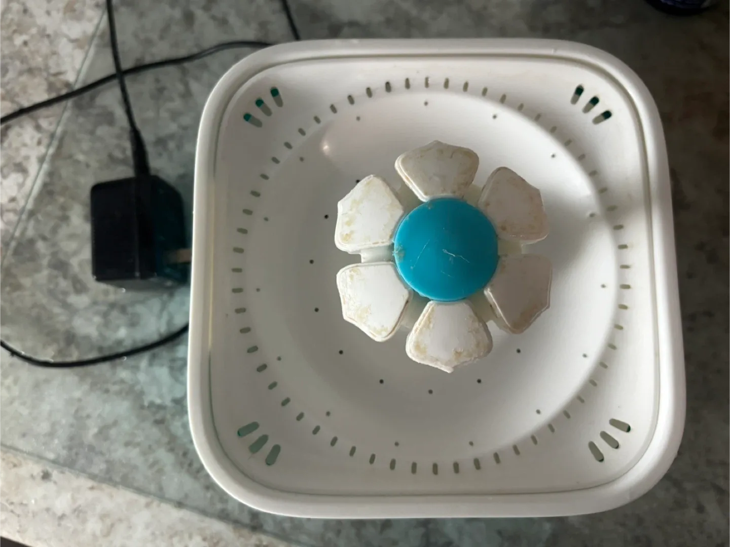 Cat Water Fountain image indicator(2)