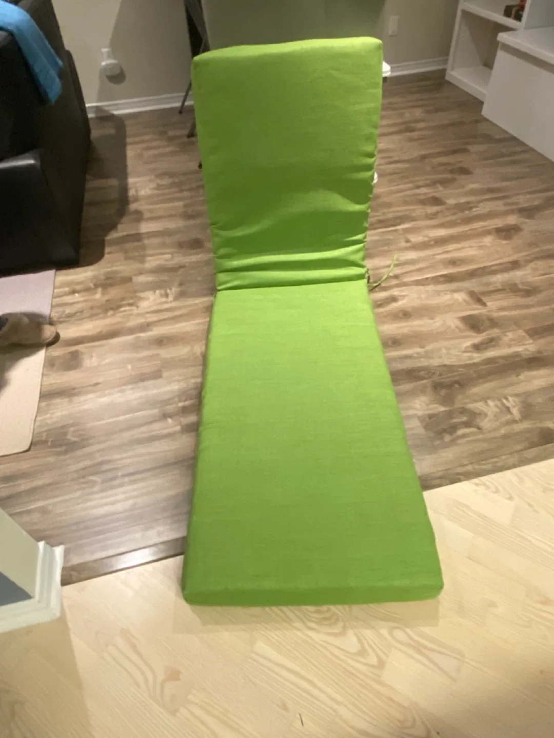 Green Lounge Chair Cushion