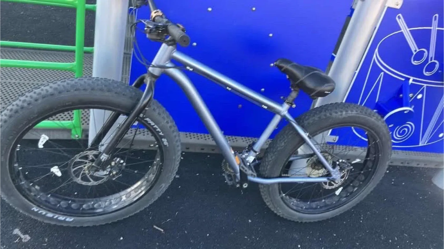 Fat Bike - Silver
