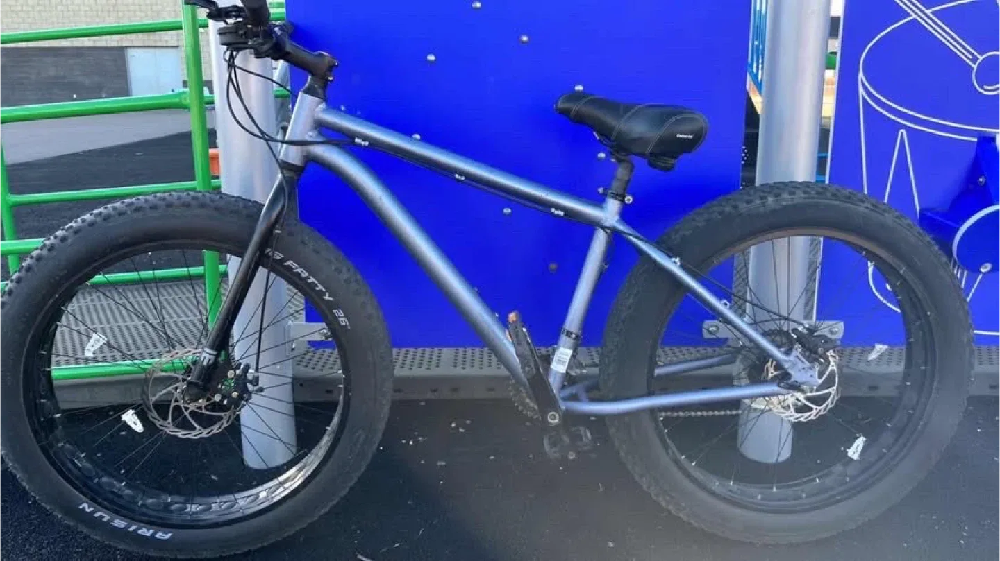 Fat Bike - Silver image indicator(2)