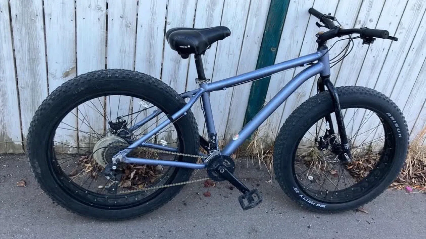 Fat Bike - Silver image indicator(3)