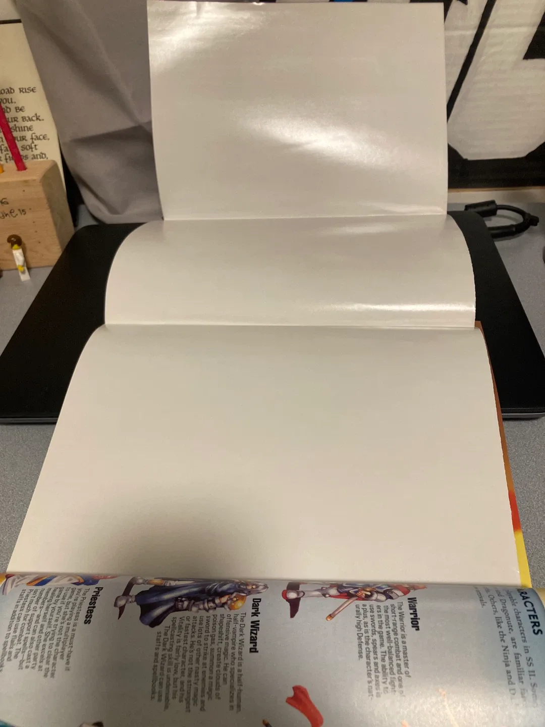 Nintendo Power Magazine January 2004 Vol 175 image indicator(3)