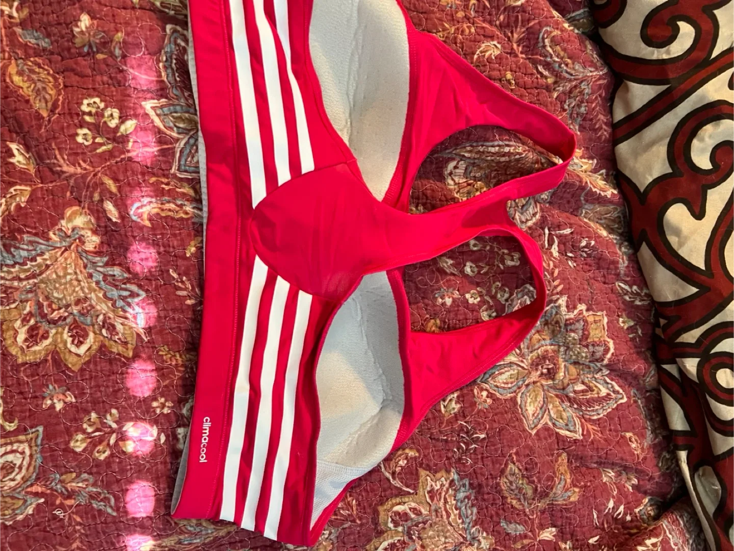 Adidas Climate Control Sports Bra image indicator(2)