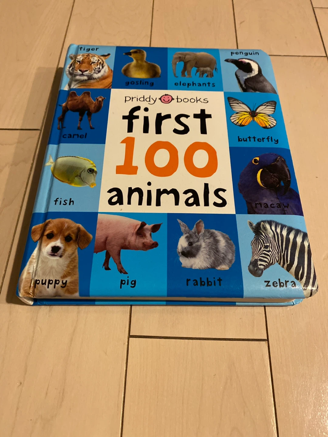Priddy Books First 100 Animals Book #cleanout