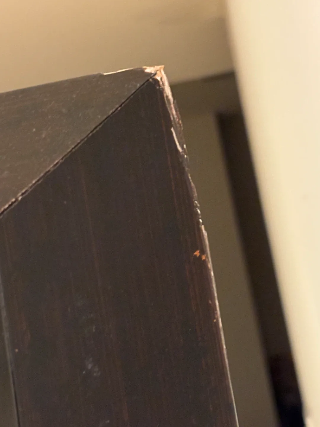 Large Black Framed Mirror image indicator(3)