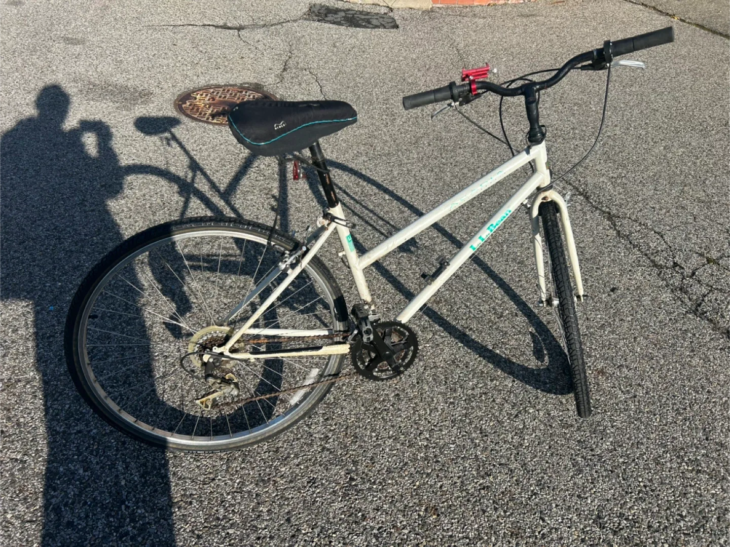 L.L.Bean Acadia Bike image indicator(3)