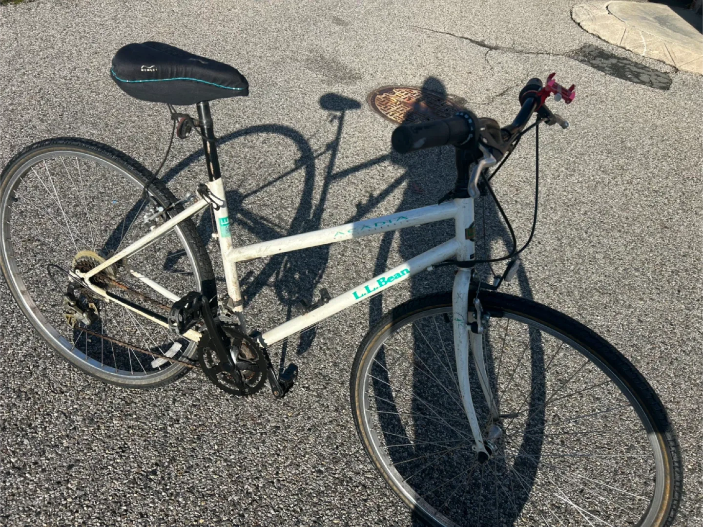 L.L.Bean Acadia Bike image indicator(2)