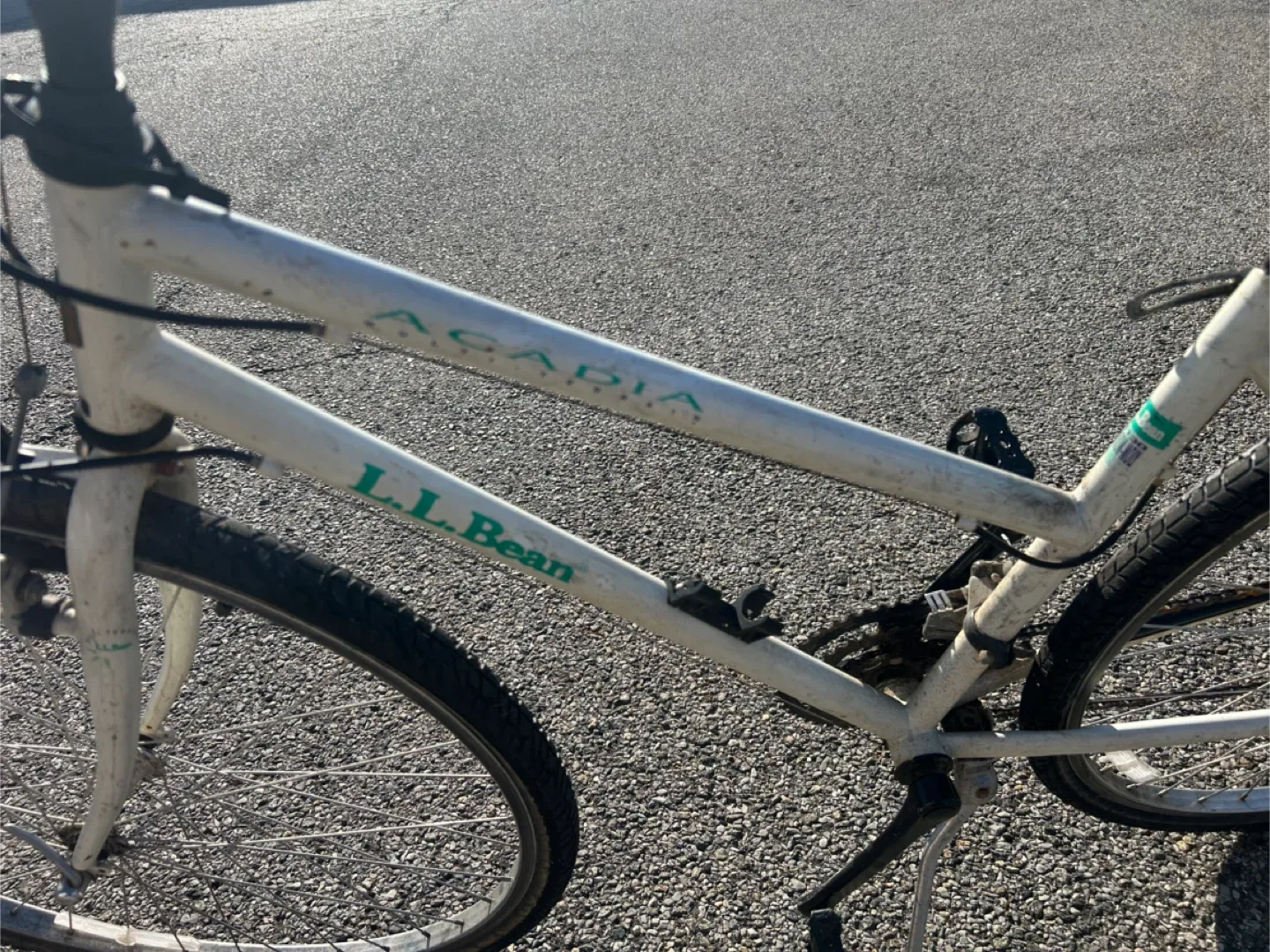 L.L.Bean Acadia Bike