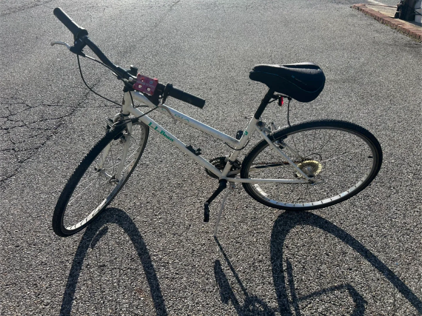 L.L.Bean Acadia Bike image indicator(4)