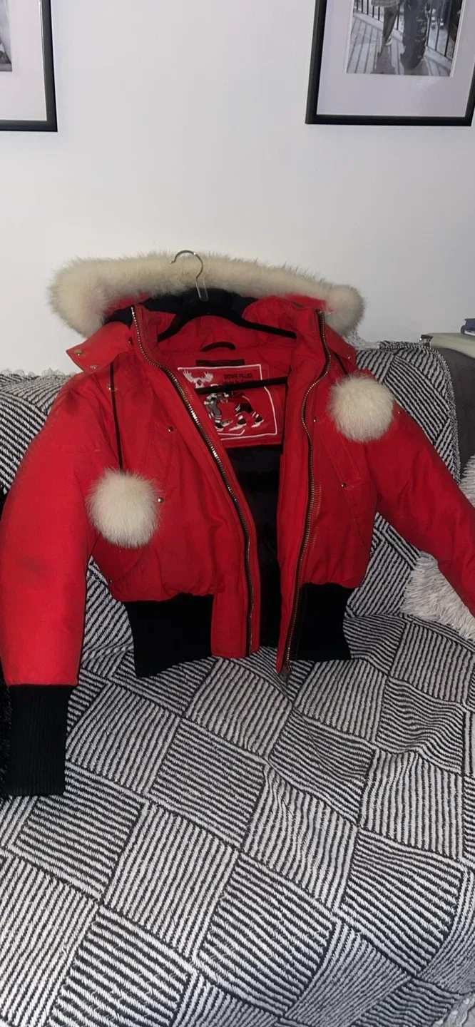 Moose Knuckles Red Bomber Jacket image indicator(5)