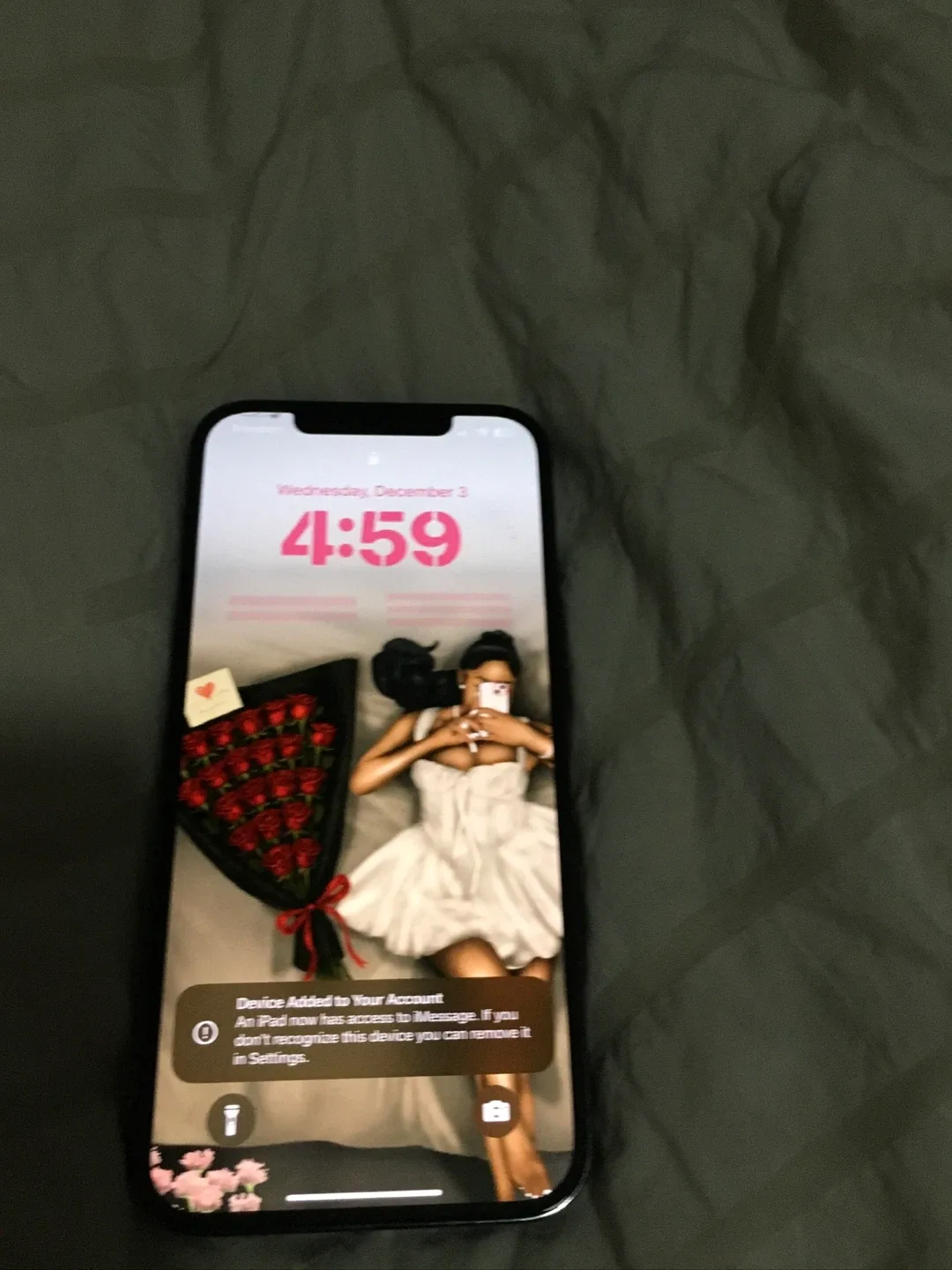 iPhone 12 Pro Max image indicator(3)