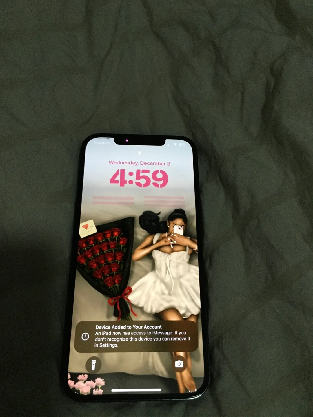 iPhone 12 Pro Max image indicator(4)