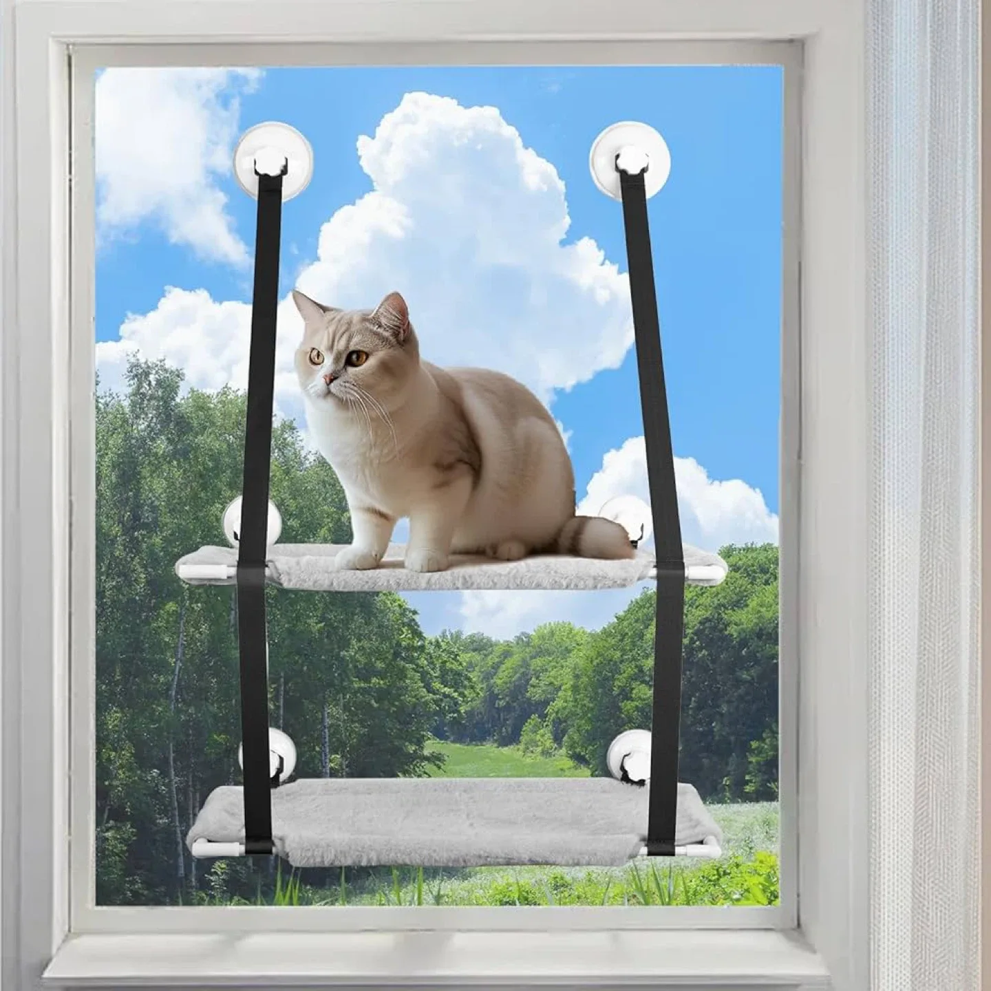 Double Layer Cat Window Perch