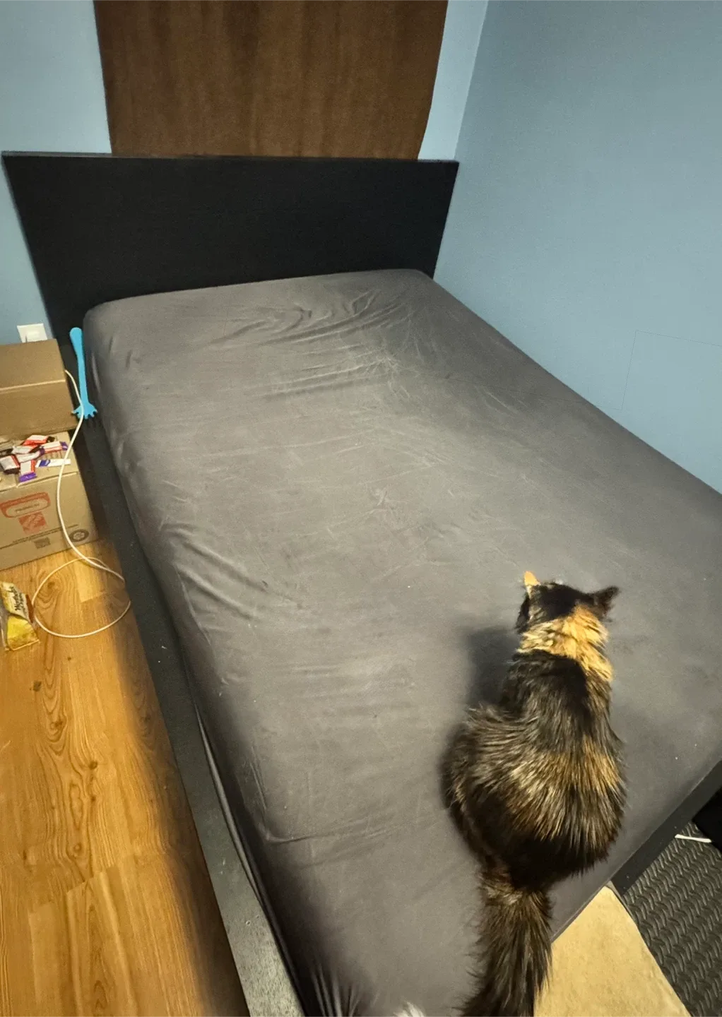 IKEA Malm Queen Bed Frame - Dark Brown image indicator(2)