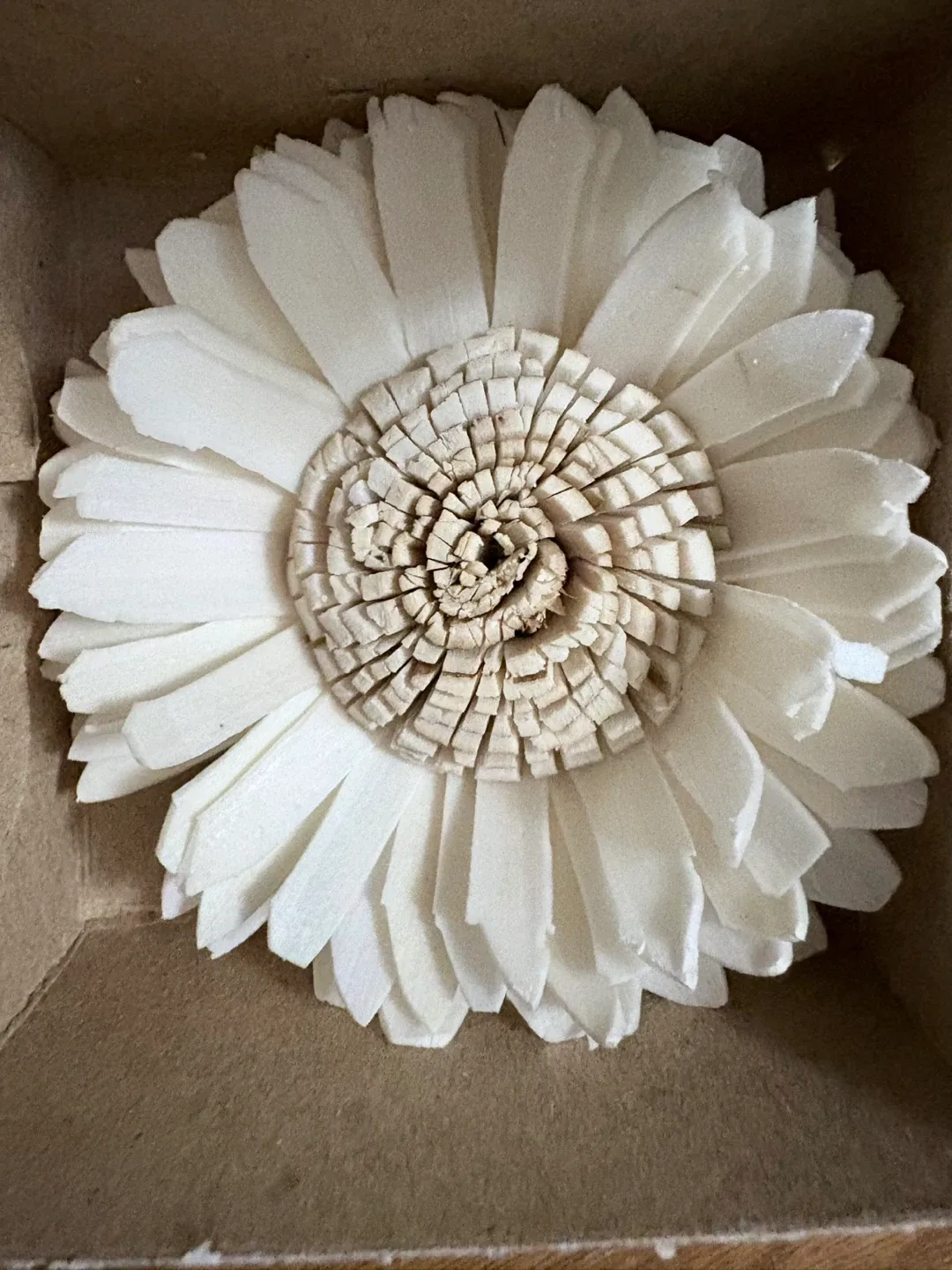 Scentsy Fragrance Flower Oil image indicator(3)