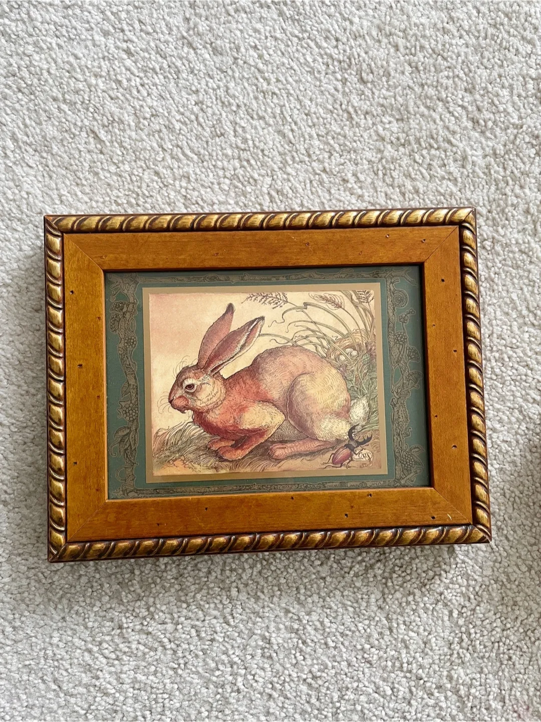 Framed Rabbit Print