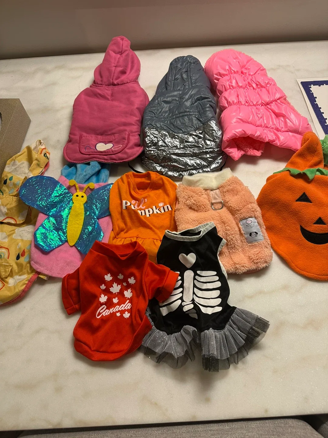 Puppy sweater and winter jackets. Size S