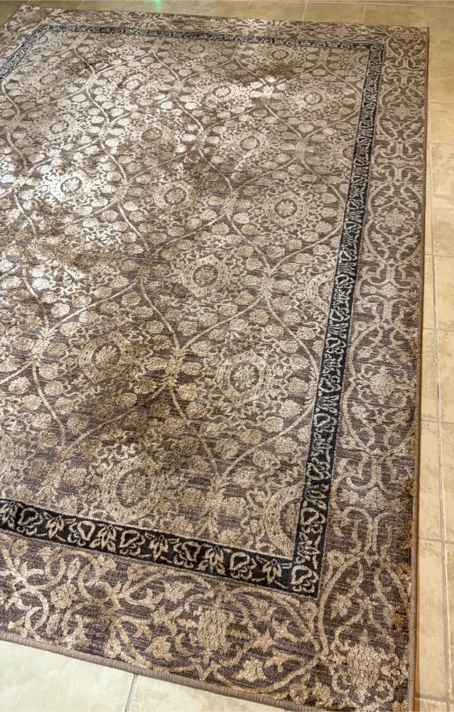 Patterned Area Rug image indicator(2)