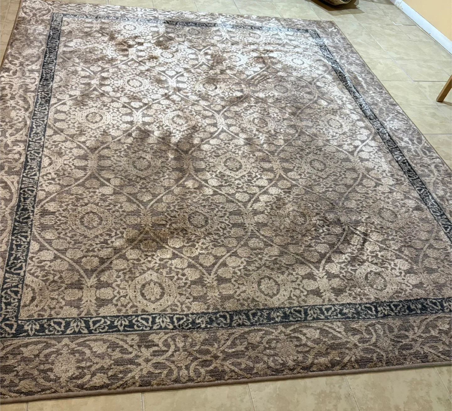 Patterned Area Rug image indicator(4)