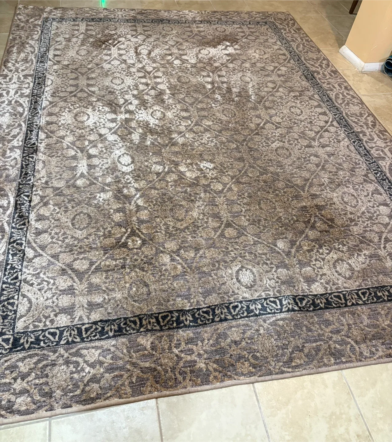Patterned Area Rug