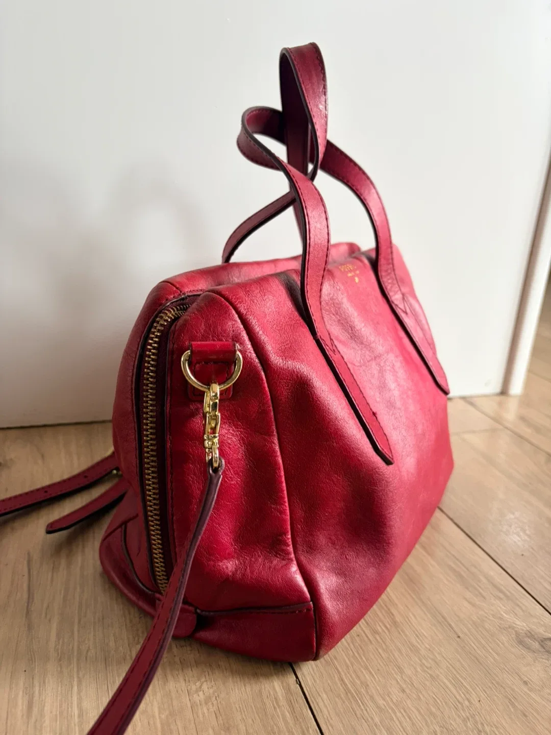 Rare Fossil Red Leather Satchel