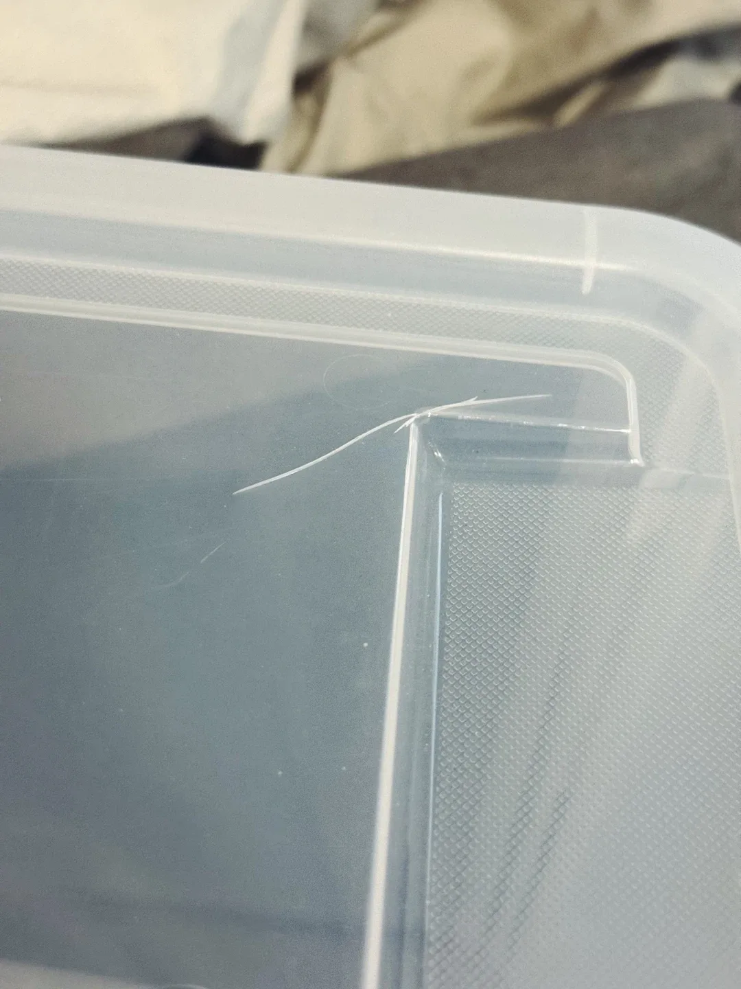 Big storage plastic bins , set of 2 for $35 image indicator(2)