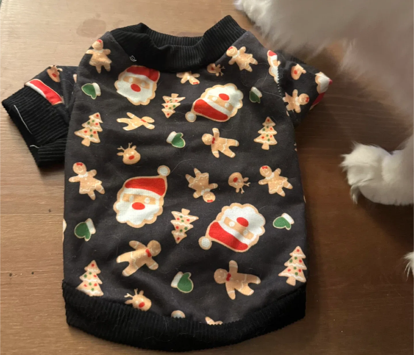 Cat Clothes Bundle - Assorted Styles image indicator(4)