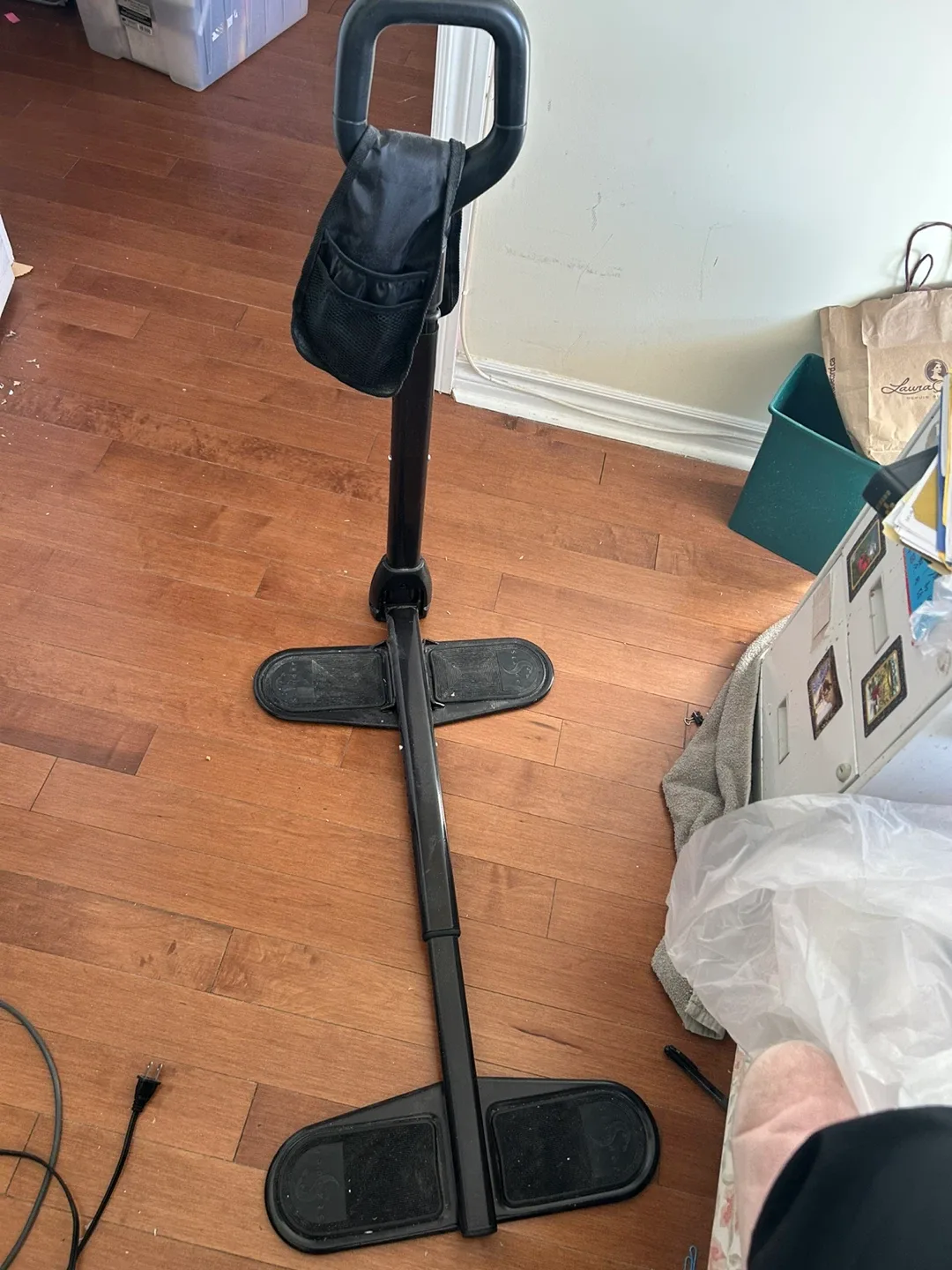 Sofa stand assist cane