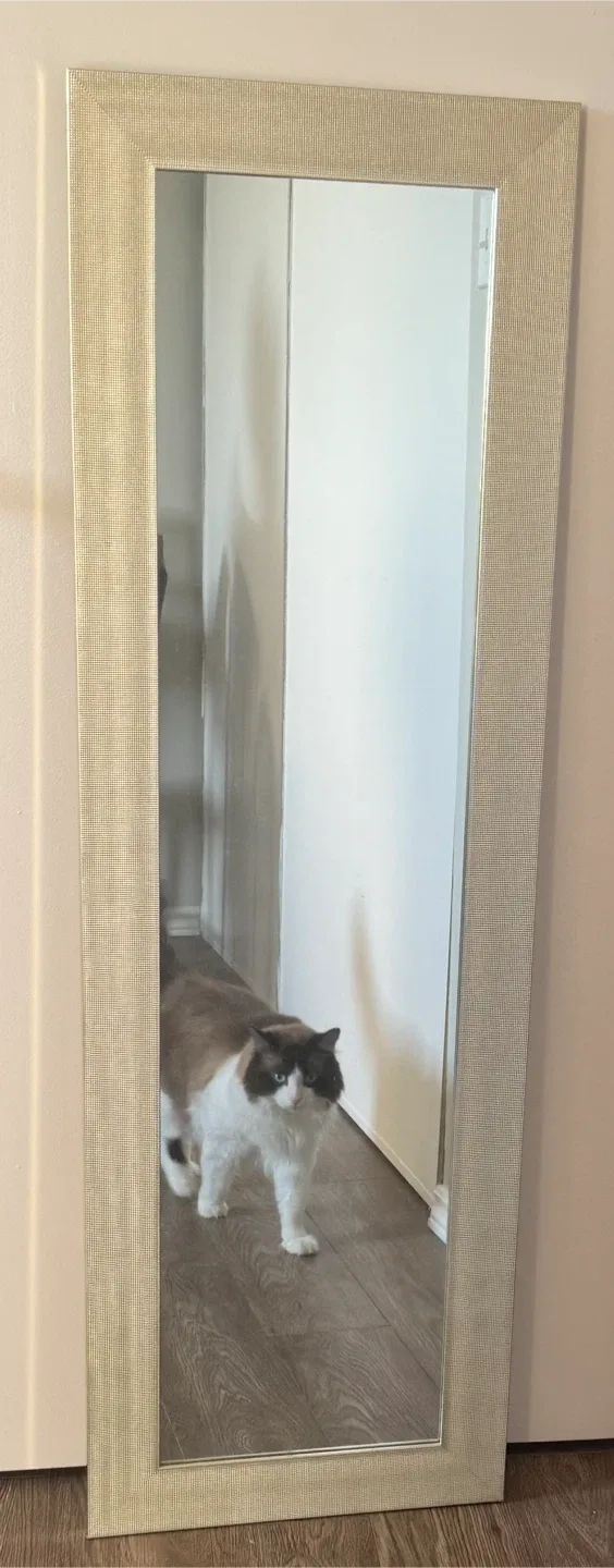 Full Length Standing Mirror image indicator(4)